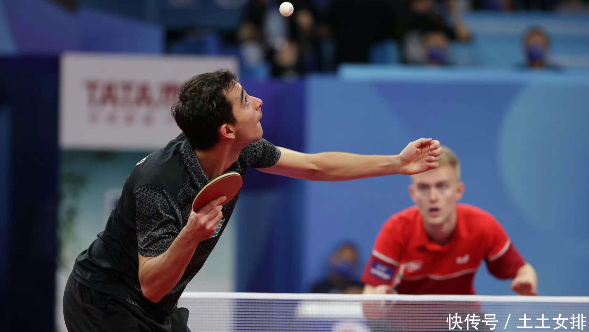 的表现来看 的表现来看