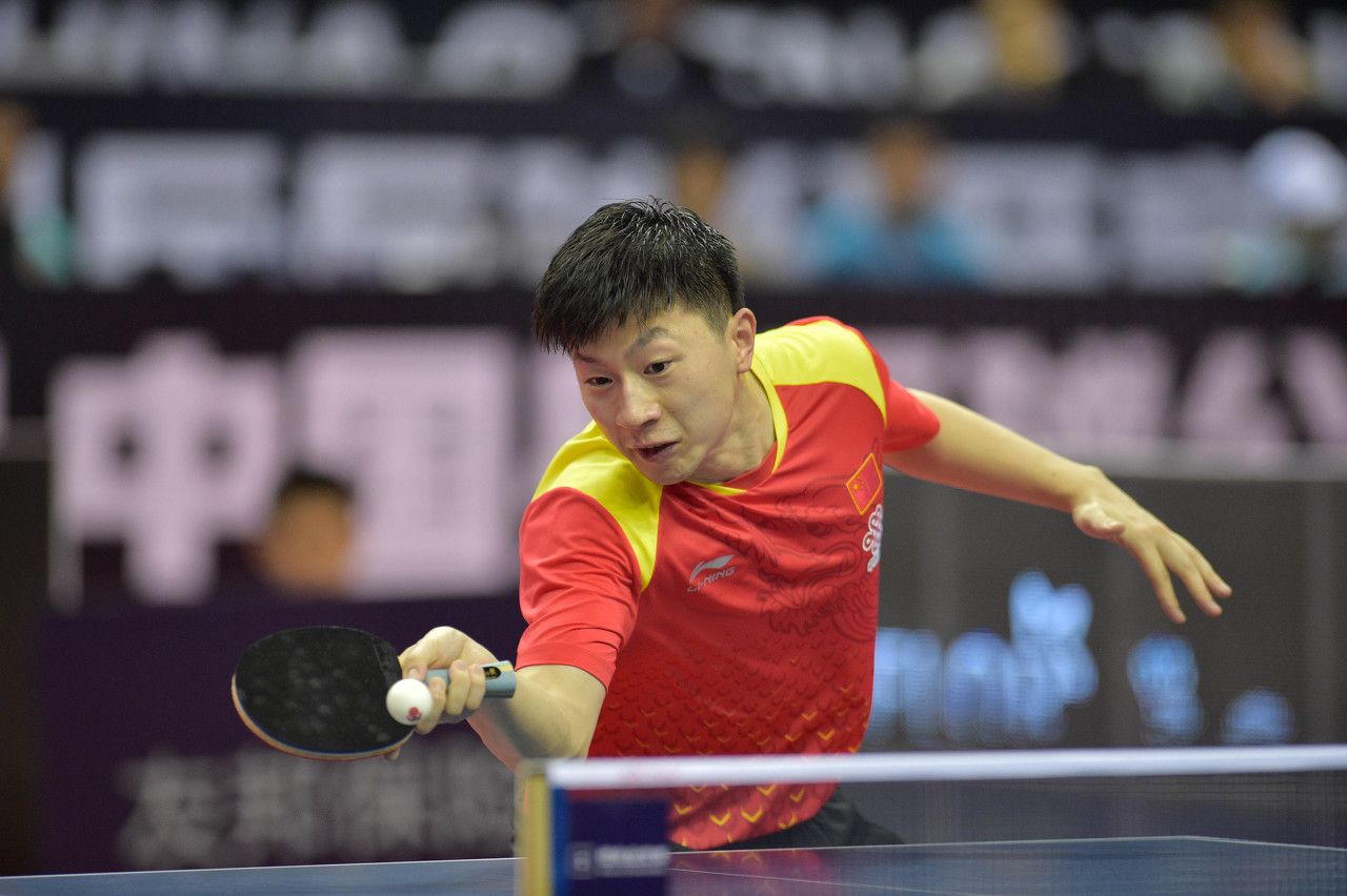 和在模仿动 和在模仿动