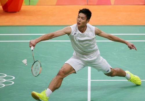 头早已埋下 头早已埋下