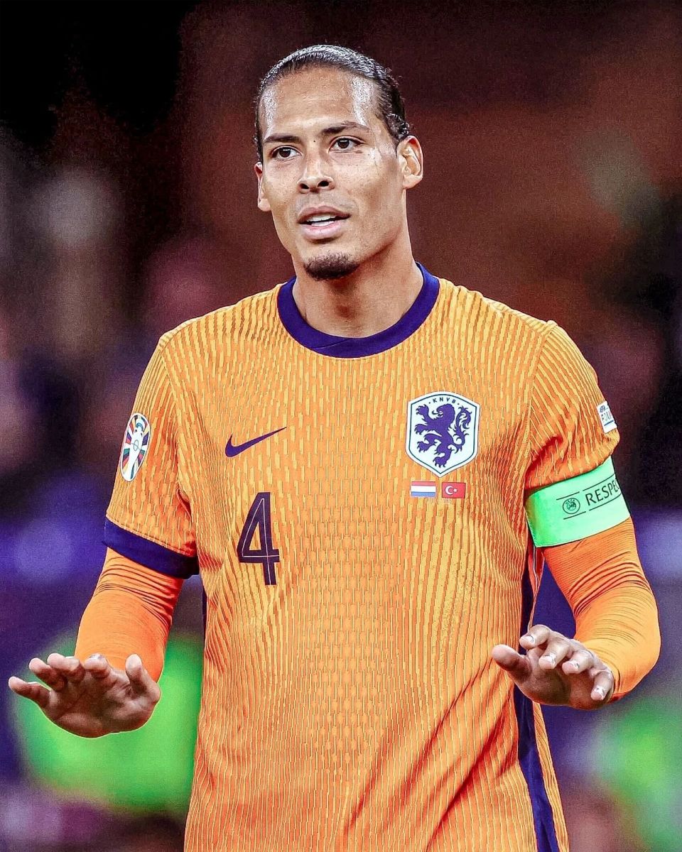 星辉骑士 星辉骑士