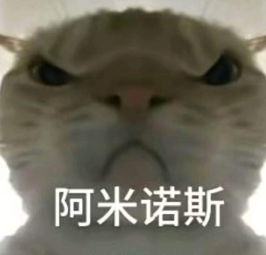比分 比分